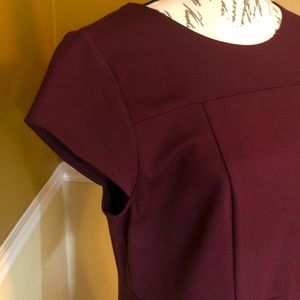 Ann Taylor Burgundy Dress Sz 12 Petite